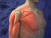 Mayo Clinic Course on Shoulder Tendon Transfer and Complex Rotator Cuff Repai
