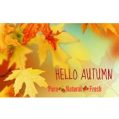 Free 10 Steps to Autumn Wellness - Pop along and join us - 5.30pm Oct 26th: London, England, UK, 26 October 2017